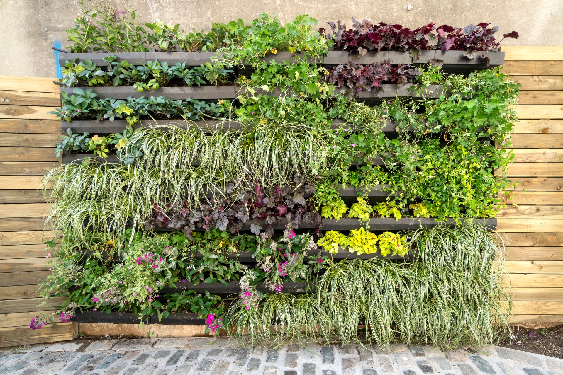 Video Background Image